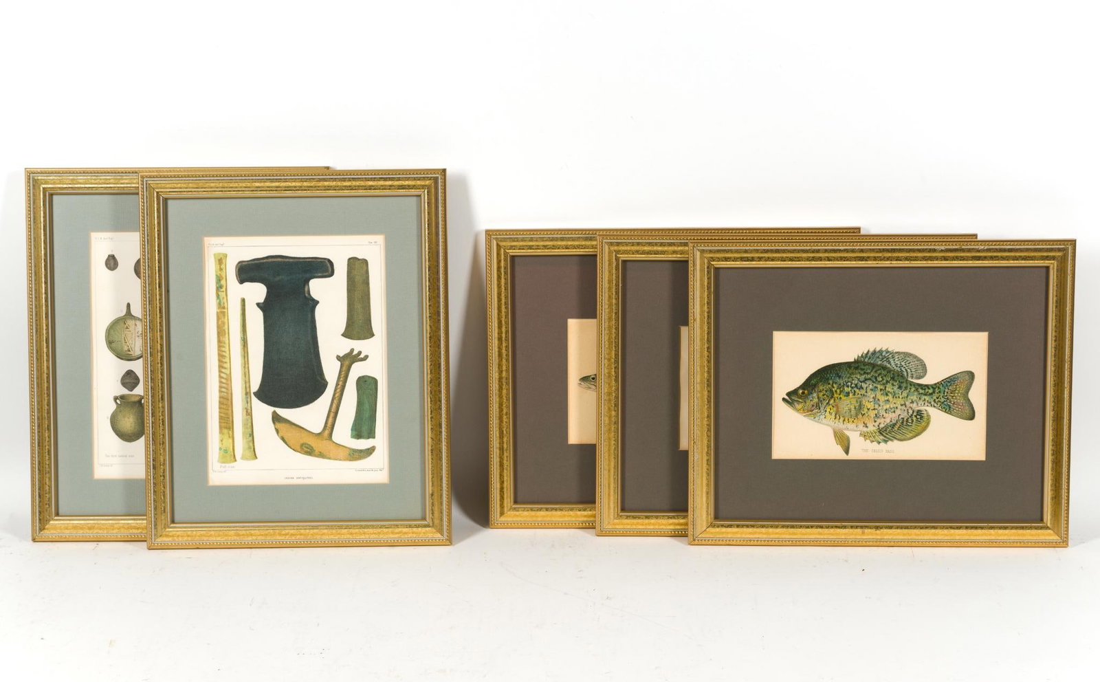 5 Framed Scientific Lithographs: All frames measure 16" x 13". 1&2) Framed, original circa 1855 chromolithograph print which was produced by P.S. Duval and Company of Philadelphia. 3,4&5) Antique chromolithograph prints of