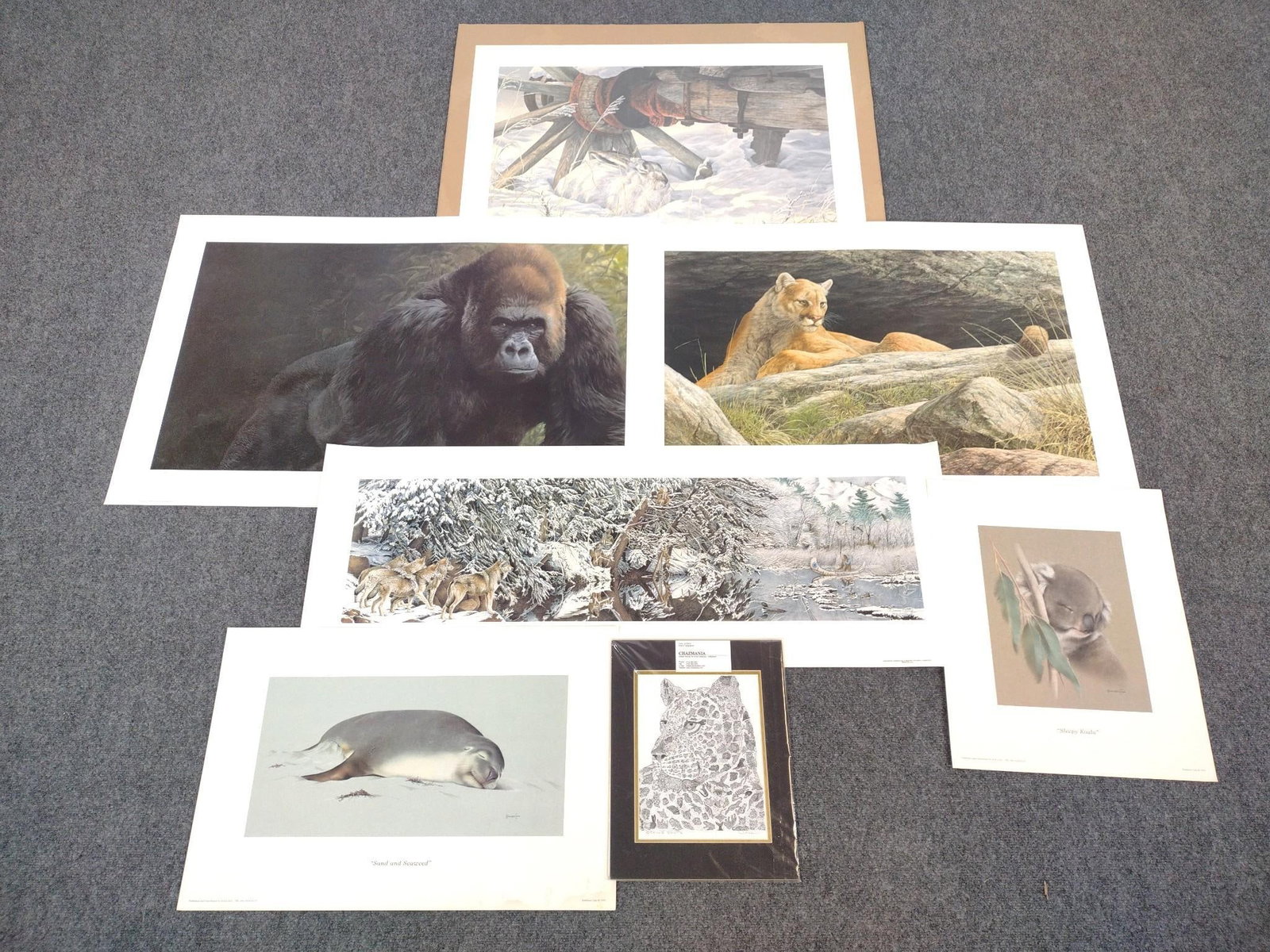 8 Animal Prints Incl. Jorge Mogol (1 of 17)