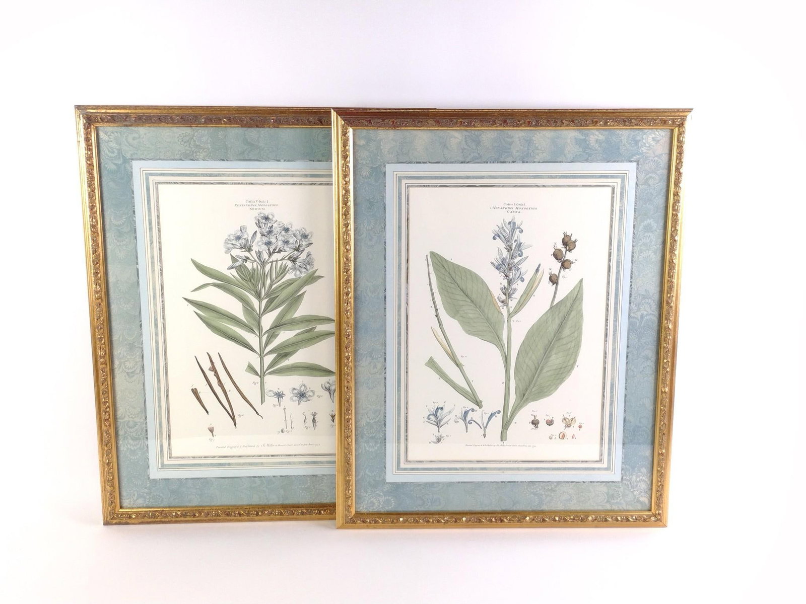 2 Botanical Lithographs (1 of 7)