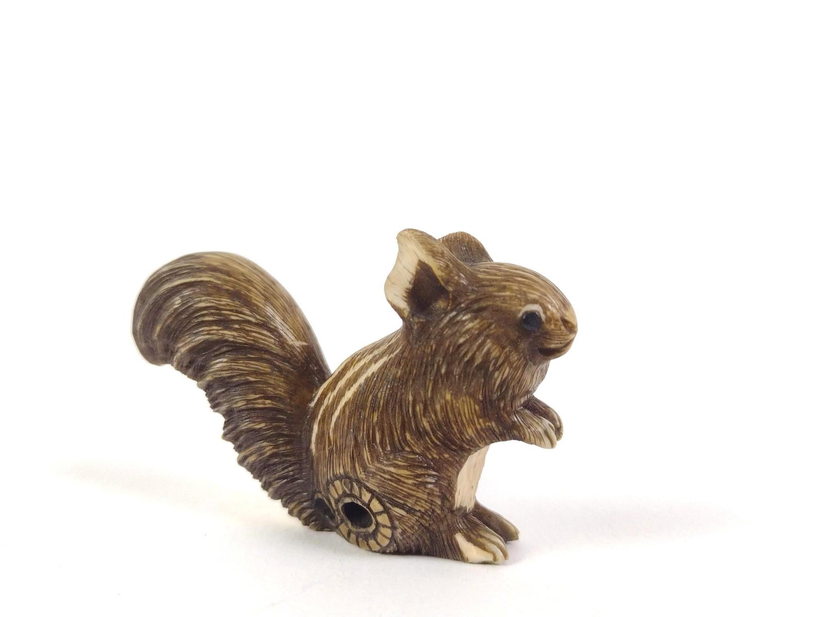 Japanese Squirrel Netsuke, Meiji Period (1 of 5)
