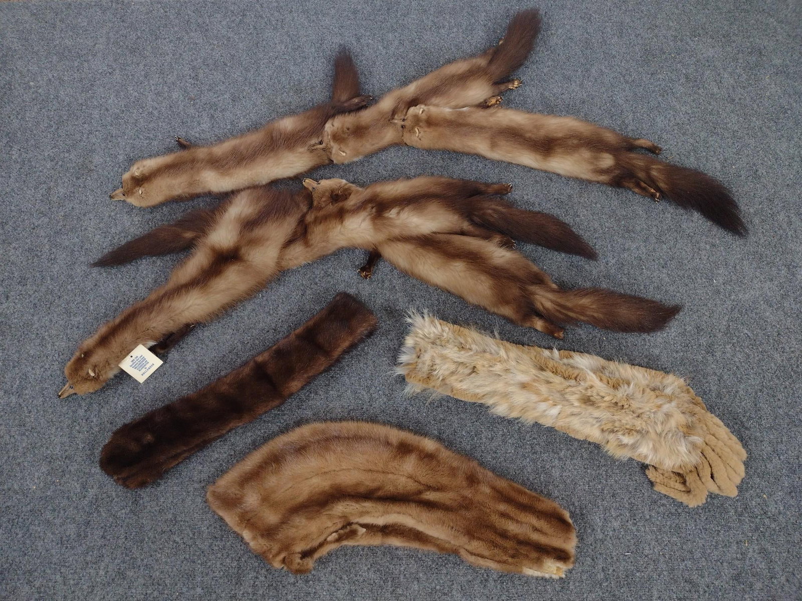 Mink Stoles & Fur Collars: 38" to 44-1/2" long. 