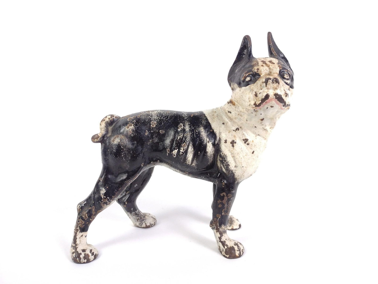 Cast Iron Boston Terrier Door Stop: Attributed to Hubley. 3-1/2" wide x 9" long x 10" high. 