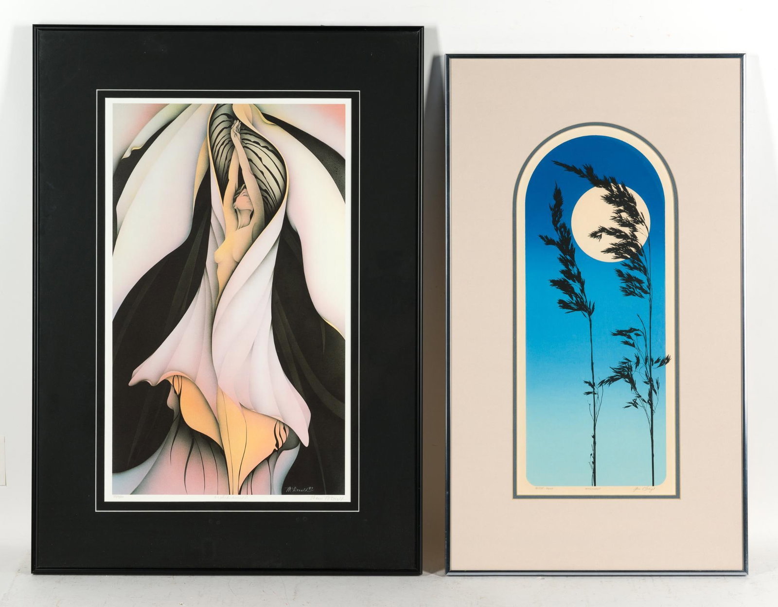 2 Framed Prints: Includes Tom Gray artist proof and Marci McDonald Orchid Series 2, edition 70/500. 