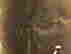 item-21454342=10