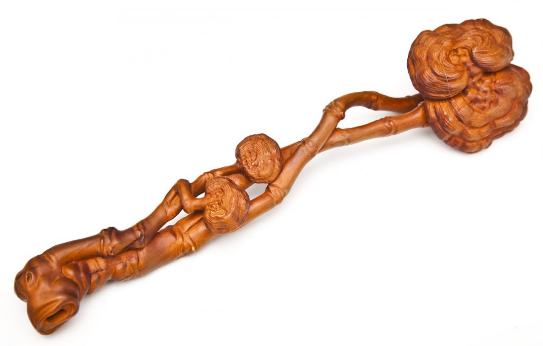 Chinese Boxwood Fungus Form Ruyi Scepter: DESCRIPTION: Chinese boxwood ruyi scepter carved in the form of two entwined branches ending in a fungus with smaller fungus to shaft. 19th/20th century. MEASUREMENTS: 12-1/2" x 2-1/4". CONDITION: No 