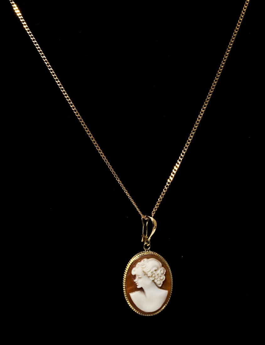 14K Frame Cameo on Chain: DESCRIPTION: Marked 14K framed shell cameo on 24" 14K yellow gold curb chain. 3.4 dwt (5.3 gr).