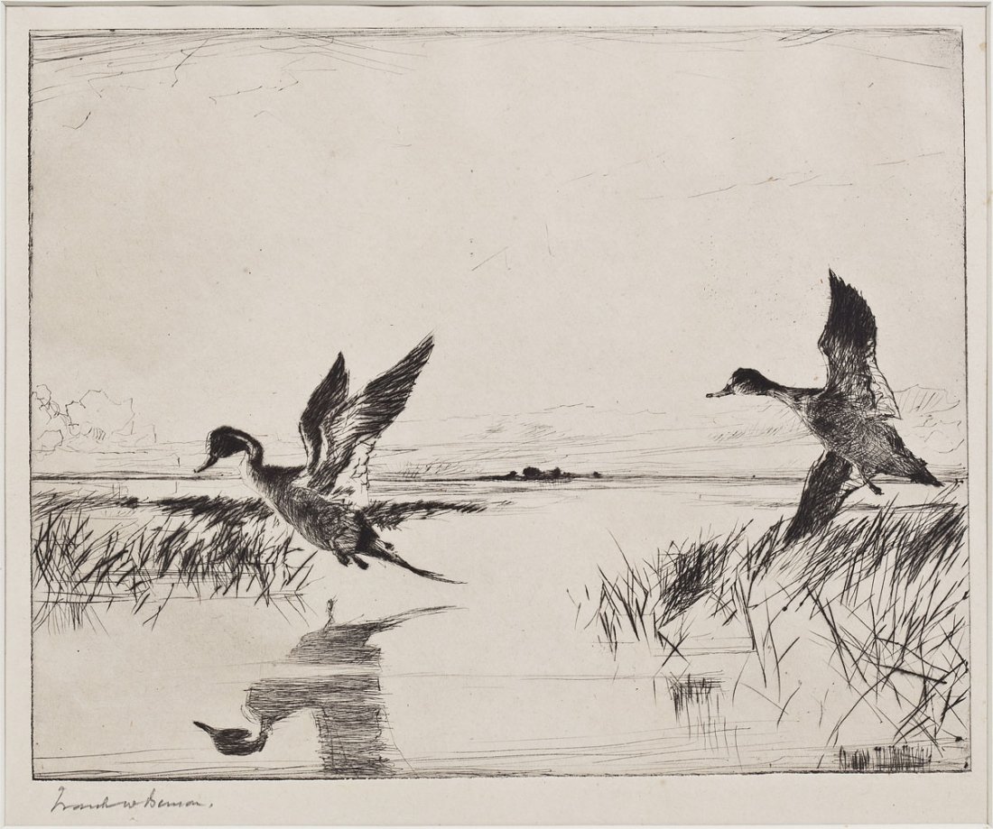 Frank West Benson (American, 1862-1951): DESCRIPTION: Frank West Benson (American, 1862-1951). Drypoint on off white wove paper. "Pair of Pintails". Signed in pencil lower left. Paff 294. PROVENANCE: Purchased at Goodspeed's in October 1930.