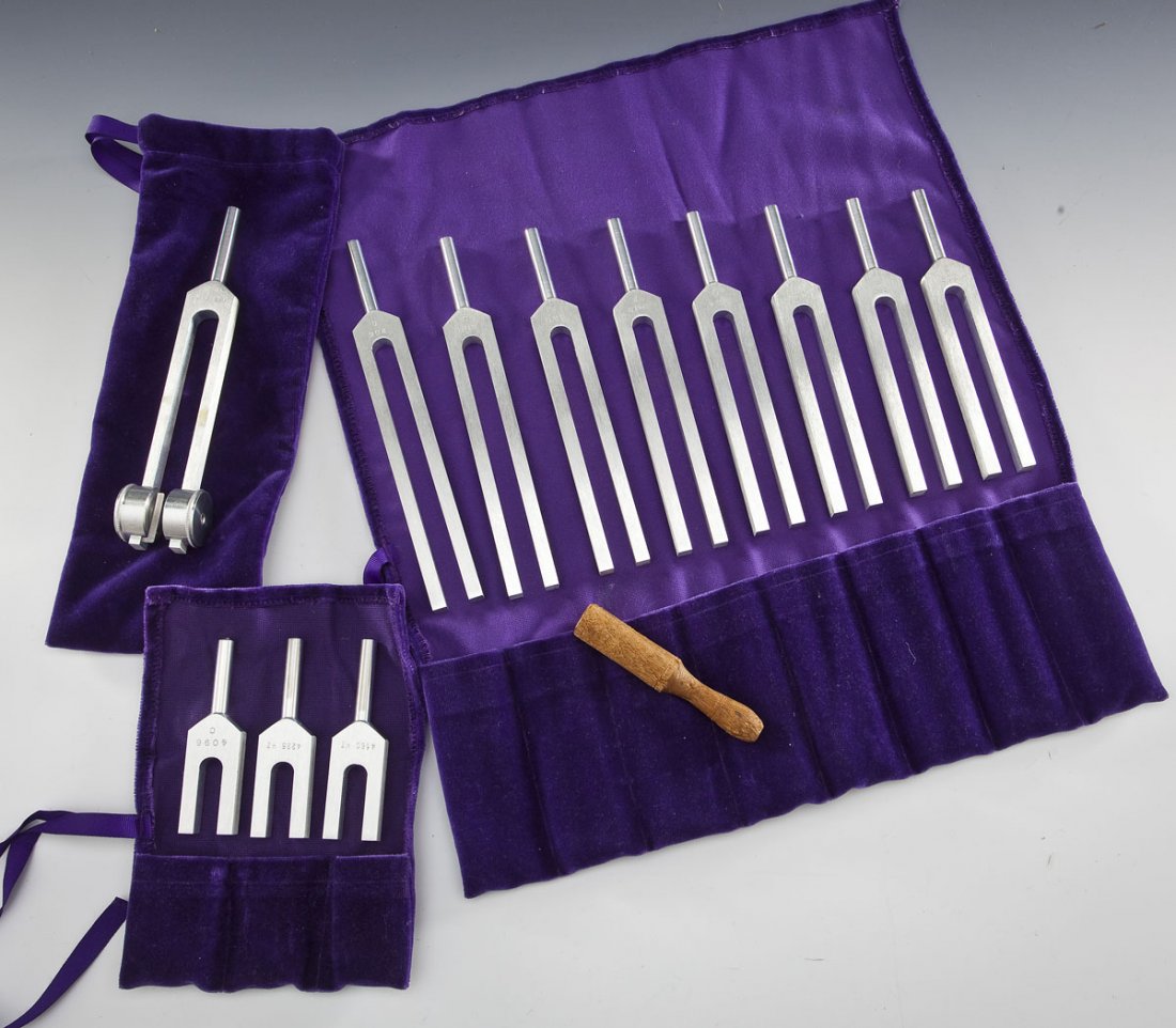 Set of BioSonic Tuning Forks: DESCRIPTION: A set of BioSonic tuning forks. Includes: 136.1 hz om, 4160 hz, 4225 hz, 4096 C, 512 C, 480 B, 426.7 A, 384 G, 341.3 F, 320 E, 288 D, 256 C, and wood mallet. Housed in velvet pouches. MEA