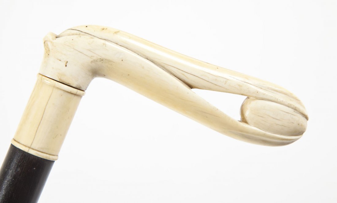 Unusual 19th C Ivory Handled Cane of Pelican (1 of 4)