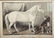 2 Currier & Ives Horse Lithographs - 4