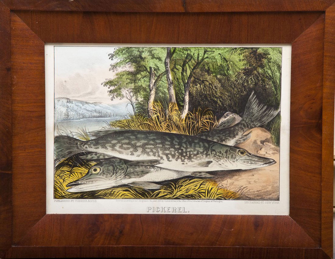 Currier & Ives "Pickerell" Lithograph: DESCRIPTION: Handcolored lithograph by Currier & Ives entitled "Pickerell". In veneered frame. MEASUREMENTS: 9-3/8" x 13-1/4". Overall with frame 14-1/4" x 18". CONDITION: Minor wear to frame.