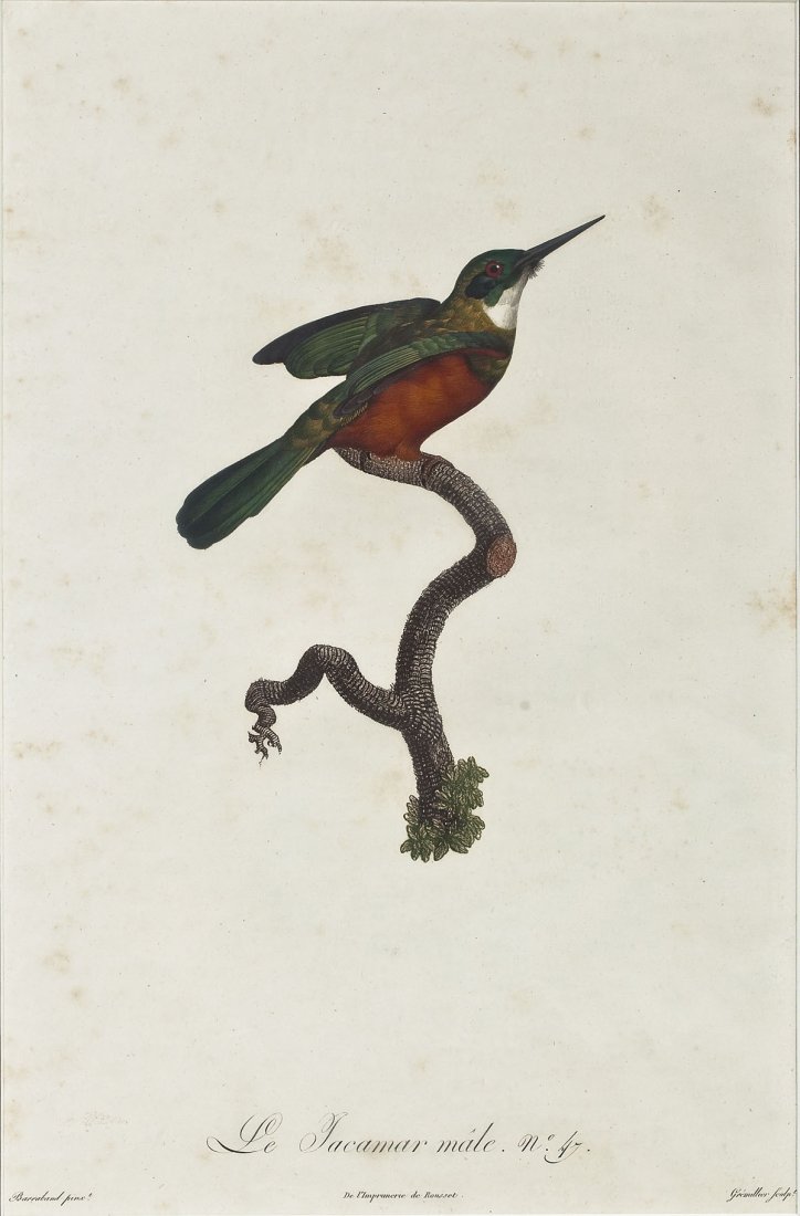 After Jacques Barraband (French, 1768-1809) (1 of 6)