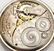 Elgin 14K GF Pocketwatch - 3