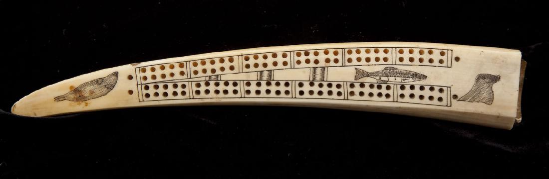 Inuit Carved Walrus Tusk Cribbage Board: DESCRIPTION: Inuit carved walrus tusk cribbage board with seals, fish, and polar bear. MEASUREMENTS: 8-3/8" long x 1-1/4" at widest point. CONDITION: Toning and minor wear to surface consistent with a