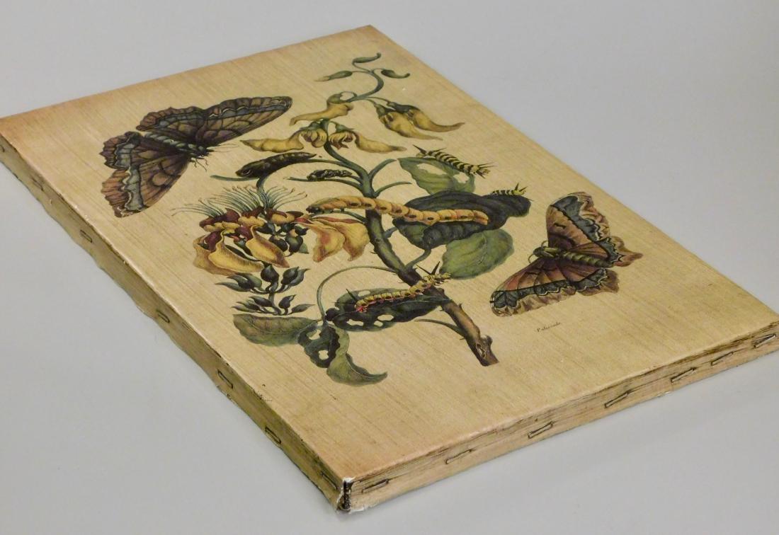 Botanical Caterpillar Butterfly Wall Plaque Made in (1 of 3)