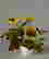 item-58506169=2