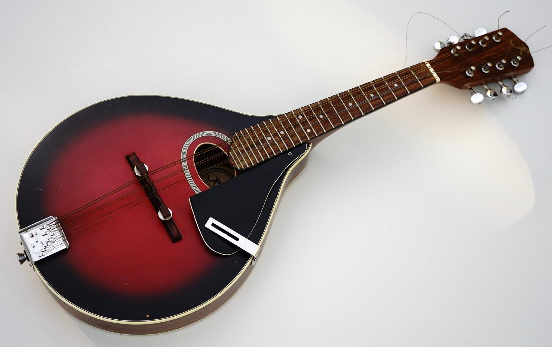 Mandolin String Musical Instrument (1 of 6)