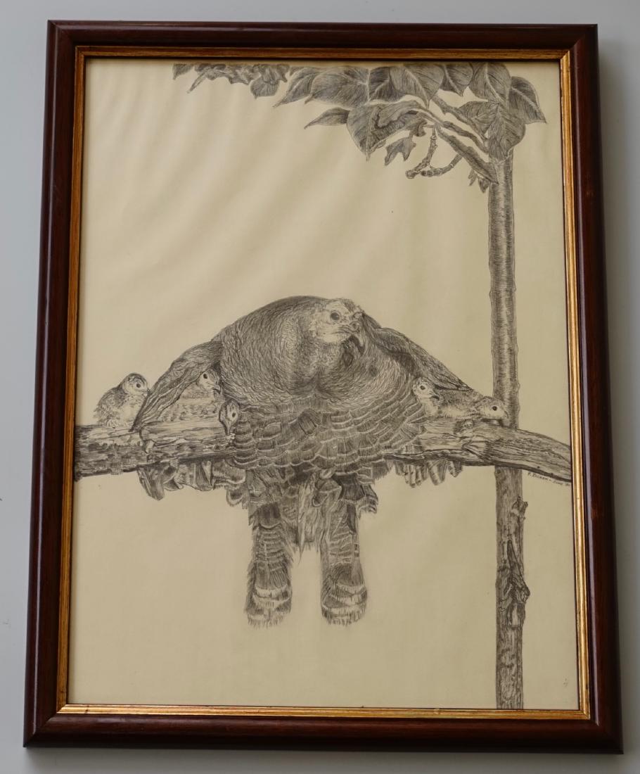 Artist Signed Original Pencil Drawing Wild Turkey: Artist Signed Original Pencil Drawing Wild Turkey Branch with Poults Chicks Under Wings by P Eschen Approximately 16 _ x 12 _ inches framed.