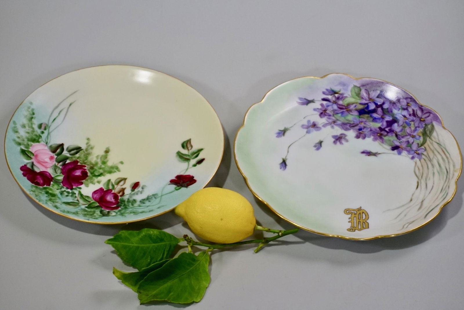 Bavarian Hand Painted Porcelain Plates c 1910 (1 of 8)