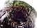 Antique Victorian Majolica Pottery Planter Cachepot - 4