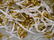 Gold Marriage Band Wedding Ring Decor Large Lot - 3