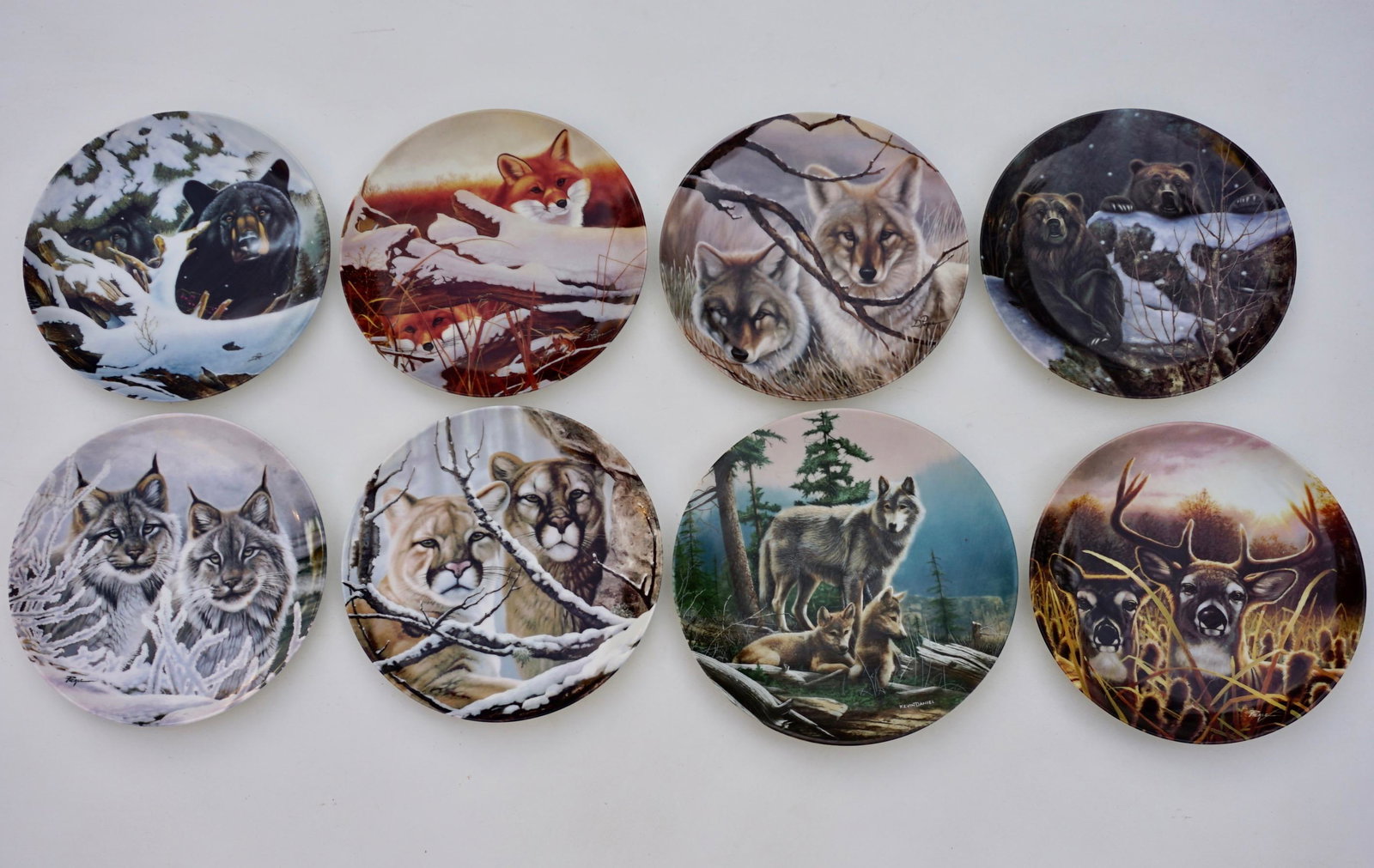 Eyes of the Wild Plates Daniel Renn Pierce Collectable: Eyes of the Wild Plates Daniel Renn Pierce Collectable Set of 8 One plate is approximately 8 5/8 inches in diameter, other plates are 8 1/8 inches in diameter.