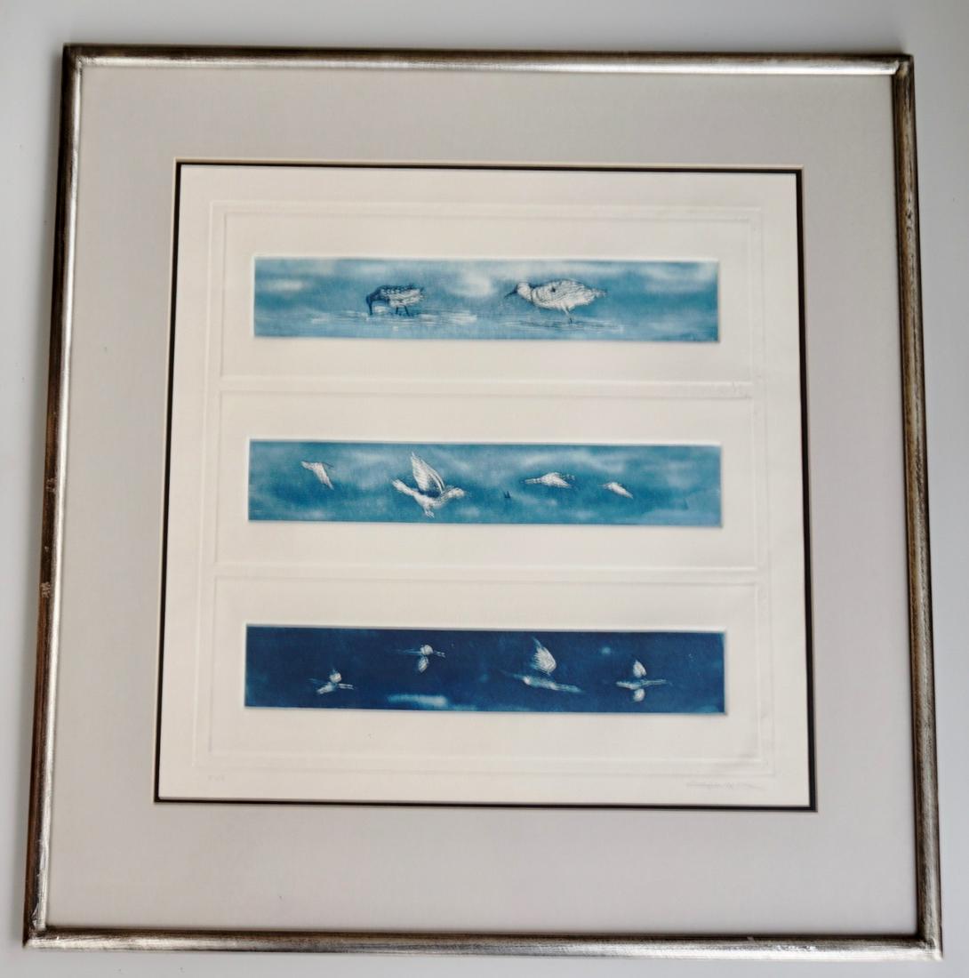 Mid Century Seabirds Triptik Indigo Etching Artist (1 of 7)