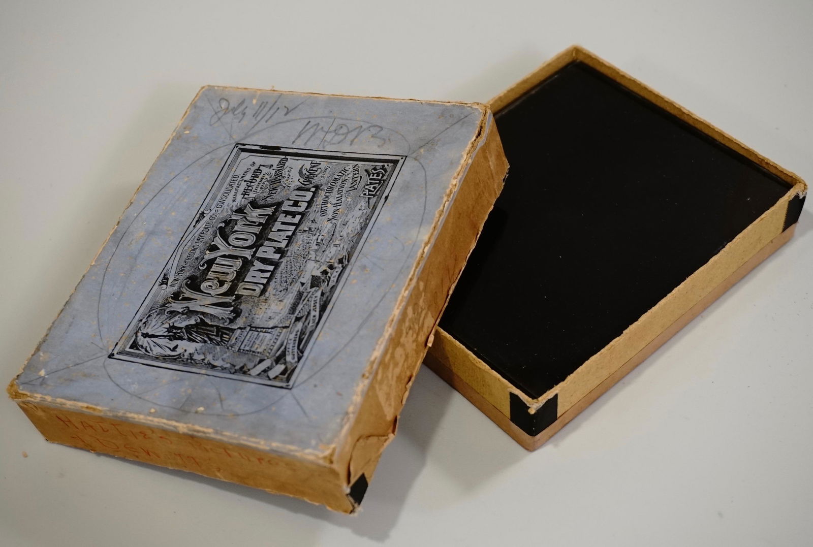 New York Dry Plate Co Antique Glass Negatives Children (1 of 9)