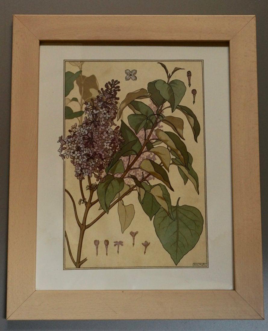 Lilac Botanical Framed Print (1 of 4)