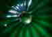 item-95075513=5
