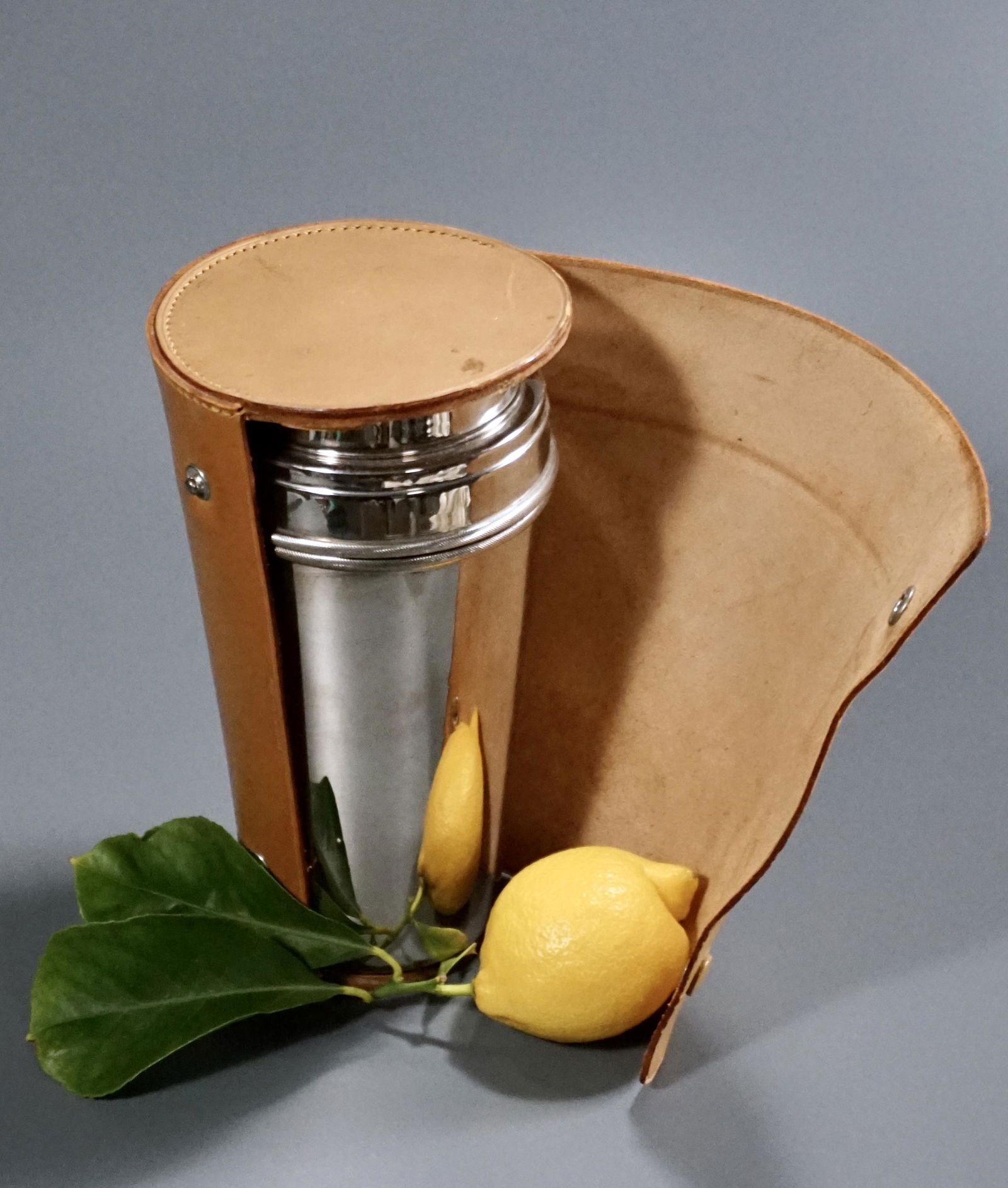 German Vintage Travel Martini Shaker Cocktail Mixer (1 of 7)