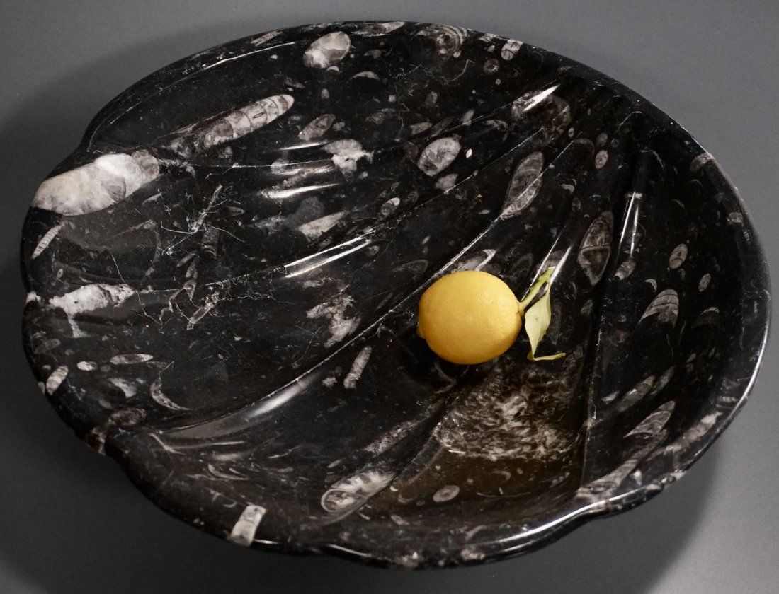 Black Carved Fossil Stone Basin Orthoceras Shell Bowl (1 of 8)