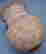 item-108640016=2