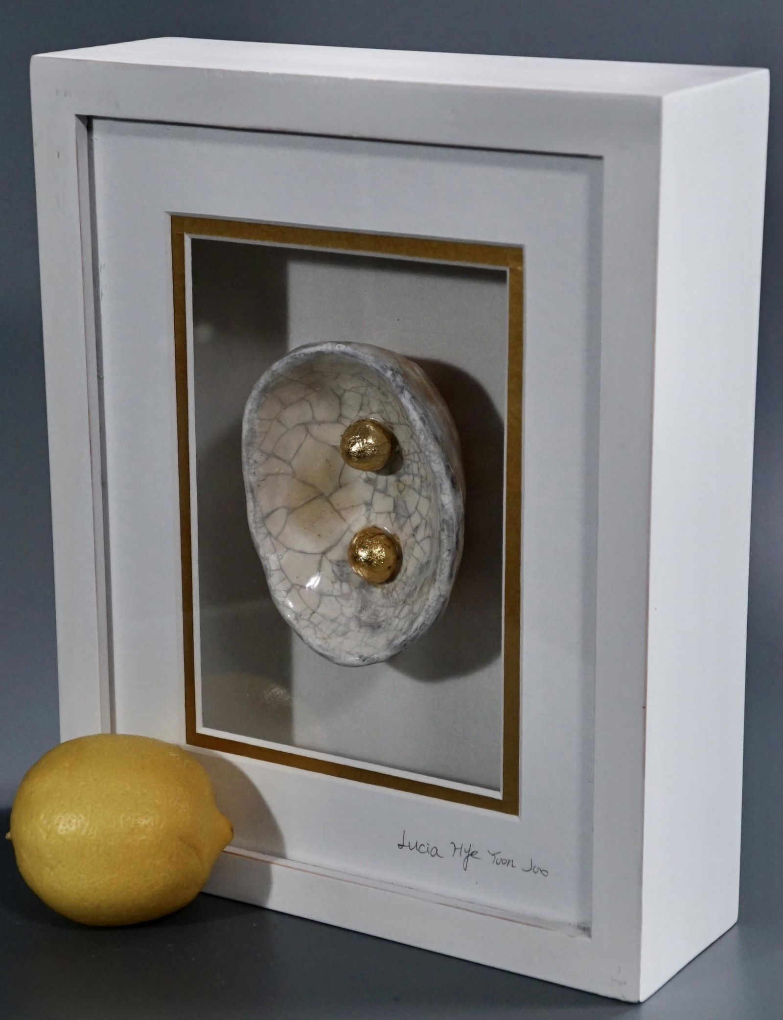 Lucia Hye Yoon Joo Mixed Media Visual Art Shadow Box (1 of 7)