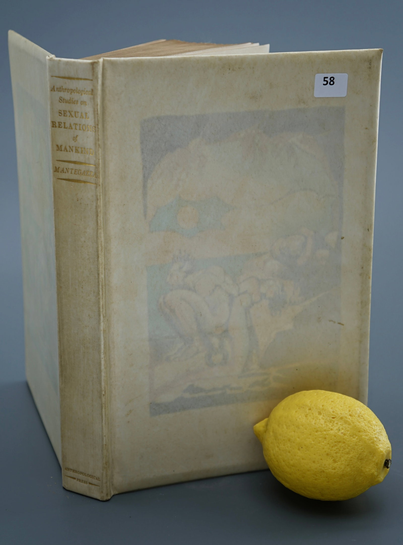Rare Book SEXUAL RELATIONS OF MANKIND by Professor Paolo Mantegazza 1935 First Edition 46 Out of 100: Rare Book SEXUAL RELATIONS OF MANKIND by Professor Paolo Mantegazza 1935 First Edition 46 Out of 100 Copies Printed Approximately 9 3/4 x 6 5/8 inches. SHIPPING & PICKUP: For local customers pickup is