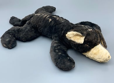 Friend of These Old Dog Also Eaten by Moth Blind on One Eye Abandoned by Owner Due to the Age and