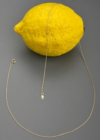 Very Fine Long 14K Gold Chain with Two 14K Gold Hallmarks