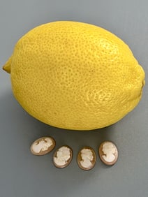 Antique Italian Carved Shell Cameo Inserts DIY Jewelry Project Lot of 4