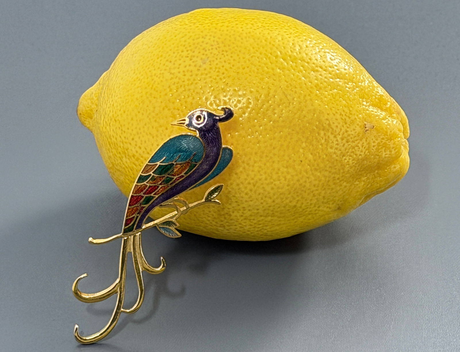 Bird of Paradise Cloisonne Enamel Vintage Peacock Brooch (1 of 3)