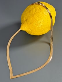 Italian Flat Polished Link 14K Yellow Gold V Necklace with Lobster Clasp