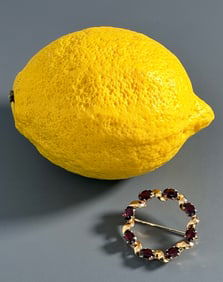 Vintage 14 Karat Gold Garnet Brooch