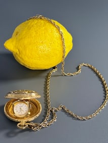 Vintage Dundee Pendant Watch 17 Jewel Swiss Wind Up Mechanical Movement on a Rope Chain in Working