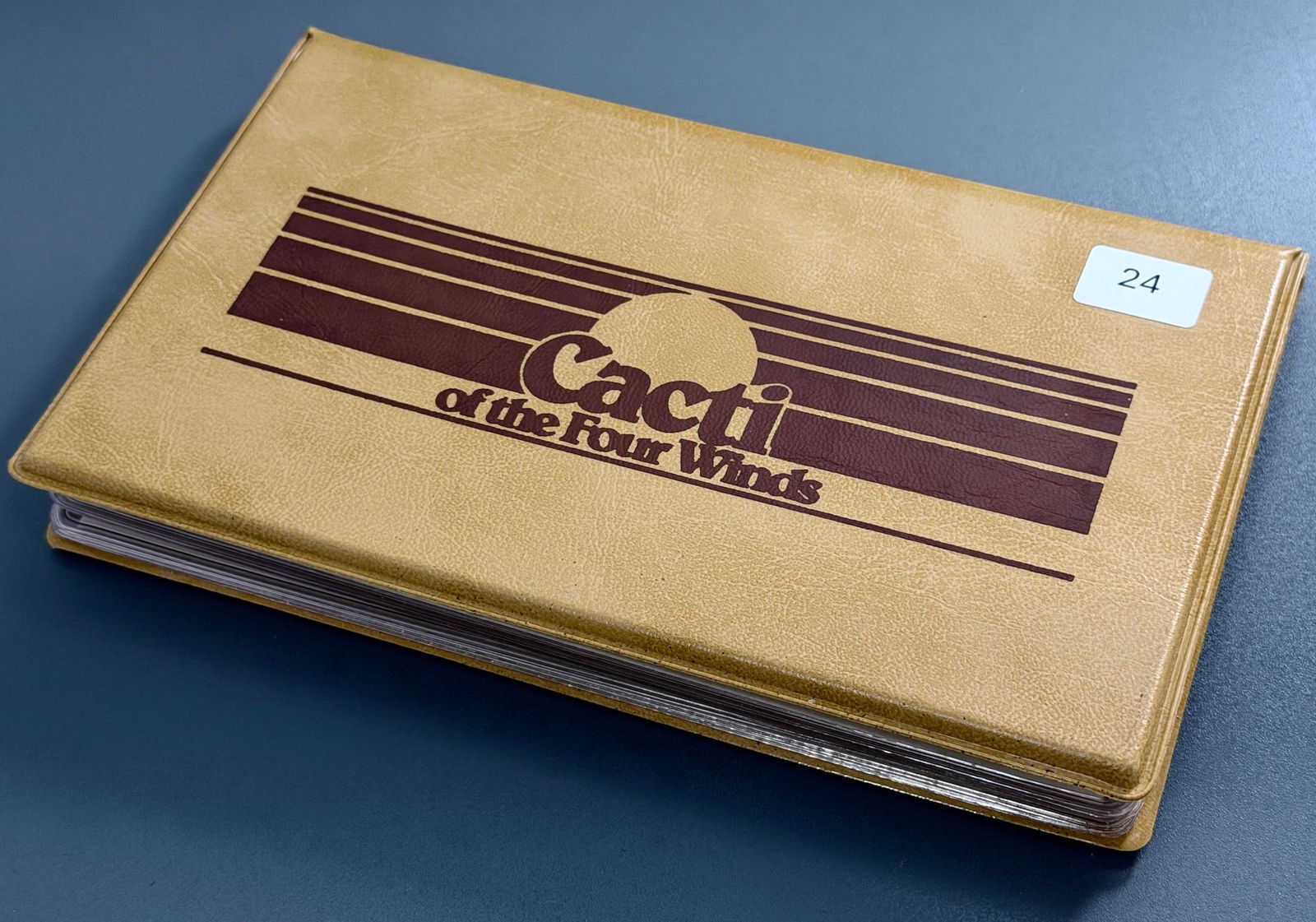 First Day of Issue 1981 United States Living Desert Plants Cacti of the Four Winds USPS Postage: First Day of Issue 1981 United States Living Desert Plants Cacti of the Four Winds USPS Postage Envelopes Posted Stamps