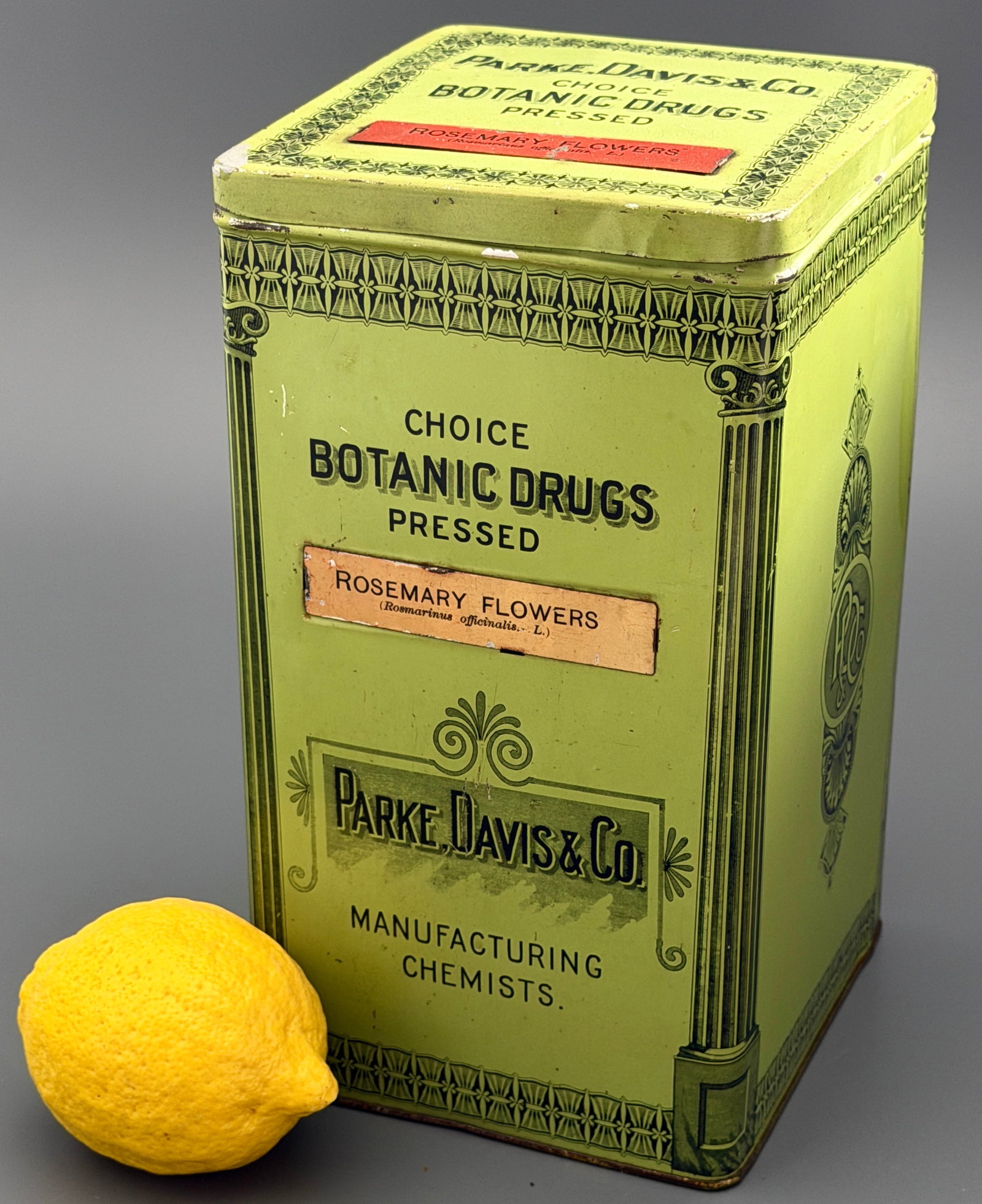 Antique Parke Davis & Co Choice Botanic Drugs Pressed Rosemary Flowers Lithographed Tin Apothecary (1 of 8)