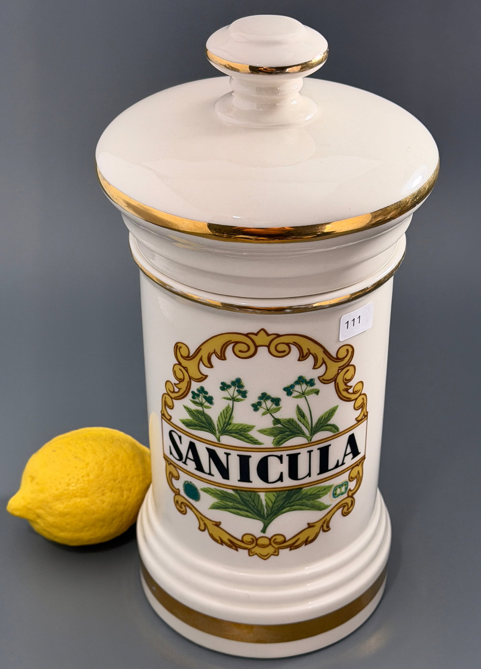 Apothecary Pharmacy Porcelain Jar Vintage Lidded Canister Sanicula Plant Botanical Illustration Gold: Apothecary Pharmacy Porcelain Jar Vintage Lidded Canister Sanicula Plant Botanical Illustration Gold Trim Original Stepped Lid Curiosity Cabinet Style Accent Piece Approximately 5 1/4 inches in diamet