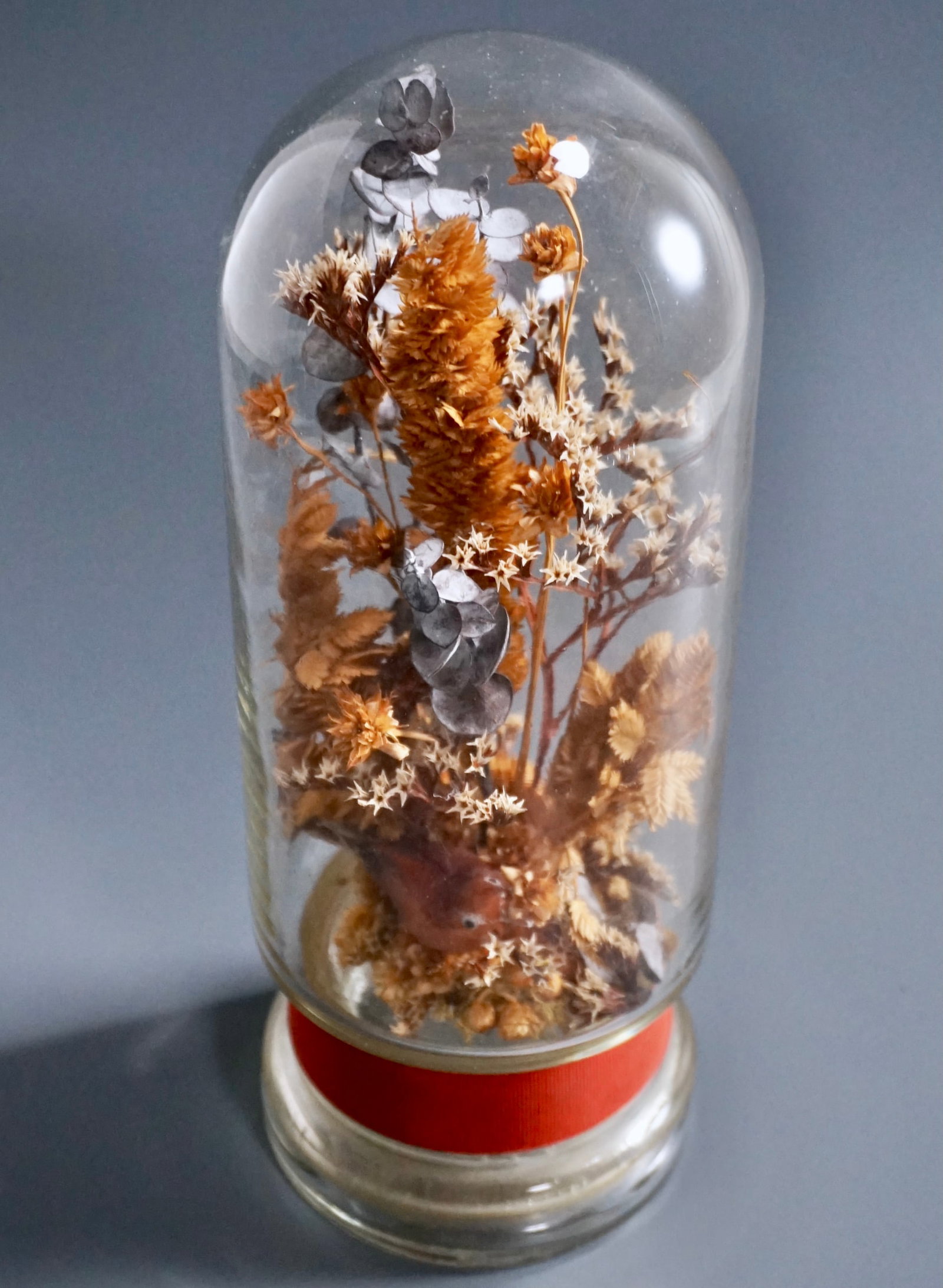 Vintage Botanical Display Dome Curiosity Cabinet Preserved Specimen Sealed Glass Cloche With Dried (1 of 4)