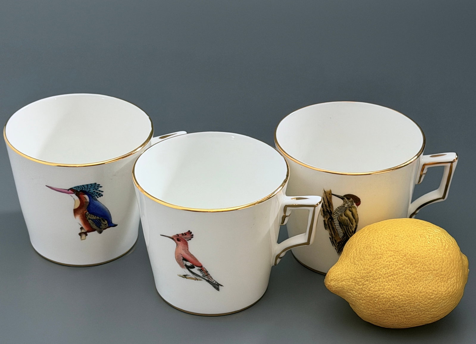 Hammersley & Co. Bone China African Bird Coffee Cups Rowland Ward Nairobi Kenya Set of 3 (1 of 6)