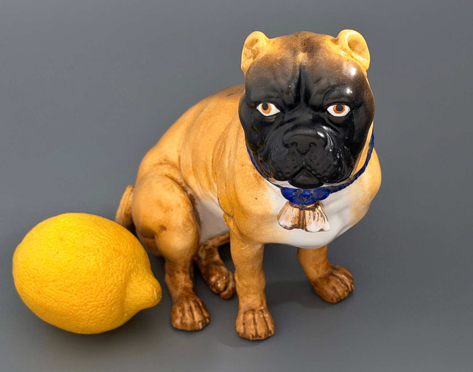 Antique Continental Porcelain Pug Carlin Dog Figurine Gold Bell Blue Collar (1 of 8)