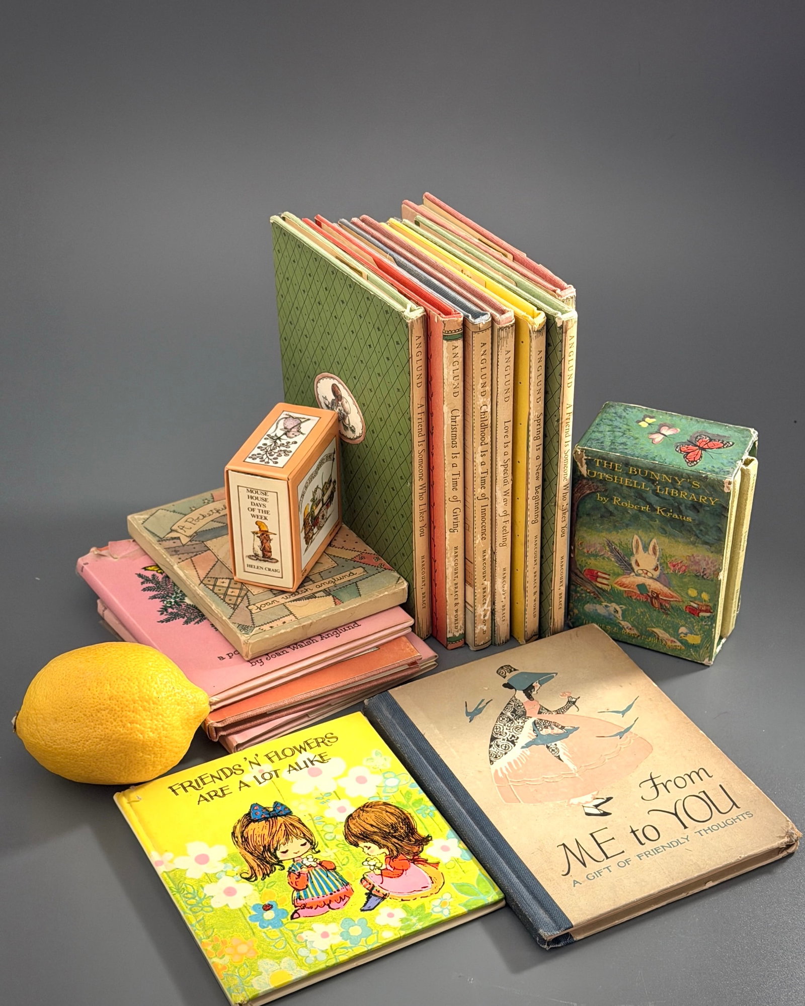 Joan Walsh Anglund Vintage Children Book Miniature Library Accordion Robert Kraus Lot of Vintage (1 of 7)