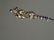 William Tell Lucerne Figural Souvenir 800 Silver Spoon - 5
